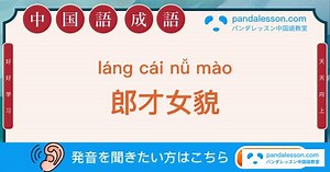 郎才女貌-中国成語・四字熟語-パンダレッスン中国語教室