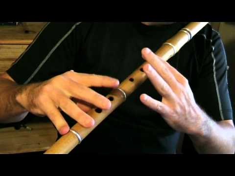 The Lark in the Strand (Jig) - Irish Flute Tutorial - Tradschool