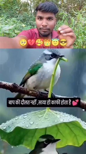 Adesh Kumar on Instagram