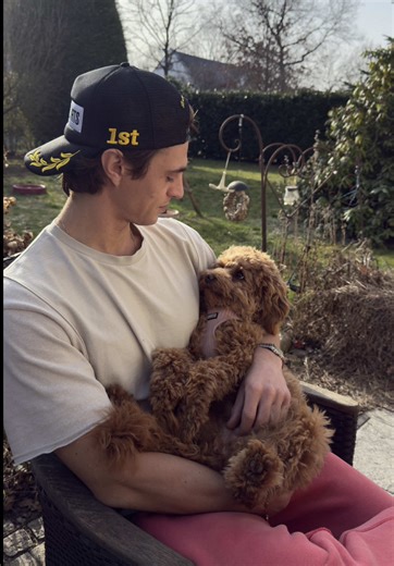 💗 #poodle #poodlemix #havapoo #cavapoo #maltipoo