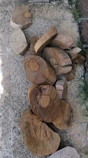 This Makes my Blood Boil 🤦‍♂️🤦‍♂️🤬🤬🤬 #fyp #shorts #arborist #chainsaw #woodworking #wood #sawblade