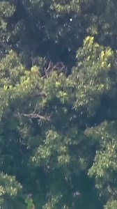 14K views · 517 reactions | Man’s First Time At Golf Course | Luke Davidson | Facebook