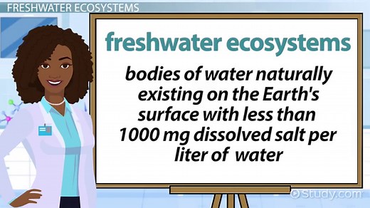 Abiotic Factors in Oceans & Freshwater Ecosystems Overview