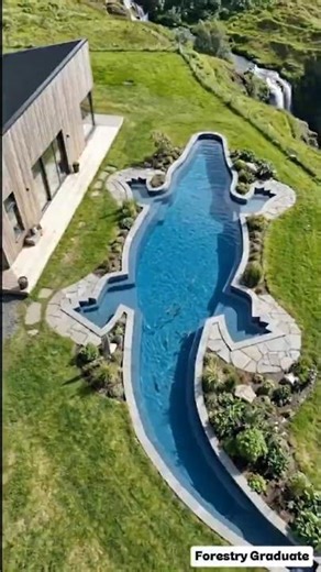 Building a Giant Crocodile-Shaped Pool in Timelapse | Full Construction Process