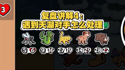 【Xp】复盘讲解4:遇到天湖对手怎么处理