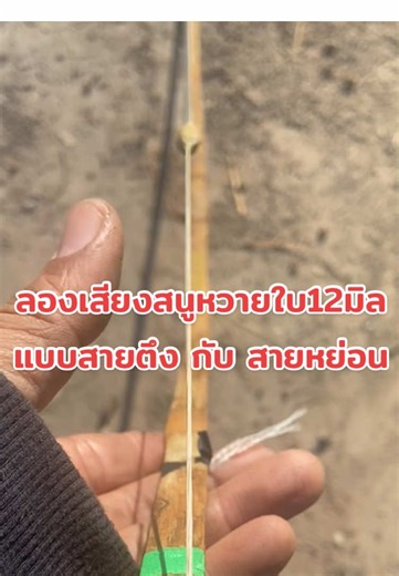 ลองฟังเสียงสนูใบหวาย #เชือกไนล่อนแท้ตราเรือใบ #เชือกทำสนูว่าว #สนูหวาย