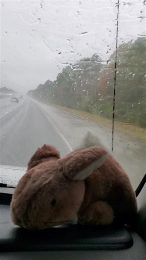 19 reactions · 7 comments | Leaving Biloxi MS, where we enjoyed all you can eat lobster on Tuesday and again on Thursday. We'll overnight in Beaumont TX. Beaumont is home to one of only four Happy Half Wit Muffler Men in Texas. He stands about 25 feet in height. Also home of the original World’s Largest (Working) Fire Hydrant. I've heard everything's bigger in Texas. | Becki Cox Armstrong | Facebook