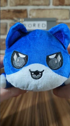 Aphmau Plush Cat Reveal #aphmau #aphmaumeemeows