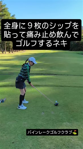 第一ゴルフ姫路本店 on Instagram: "#高速グリーン #11フィート #パインレークゴルフ倶楽部"