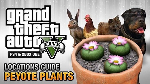 Complete list of all peyote plants locations and transformable animals in GTA 5