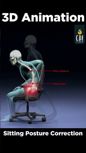 3D Animation: Pain from Sitting too long? #medicalanimation #3danimation
