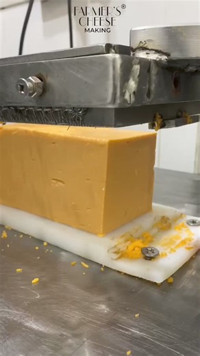 3.1K views · 22 reactions | Experience the satisfying art of cheddar cheese slicing! Watch as each slice is perfectly crafted. 燎✨#CheddarCheese #SatisfyingVideos #CheeseLovers #ArtisanalCheese #CheeseSlicing #FarmersCheeseMaking #Foodie #CheeseMaking #FoodArt #HandcraftedCheese #cheeseperfectionburger | Farmers Cheese Making | Facebook