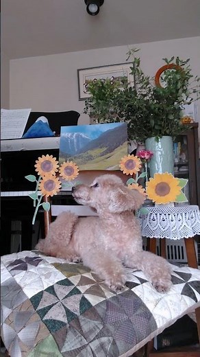 ⛰️#夏の山(#この山光る)/Horch was kommt von draußen 'rein - #ドイツ民謡