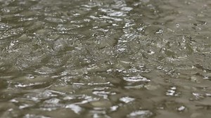 Download Rain drops and drizzle falling on a muddy puddle outdoor for free