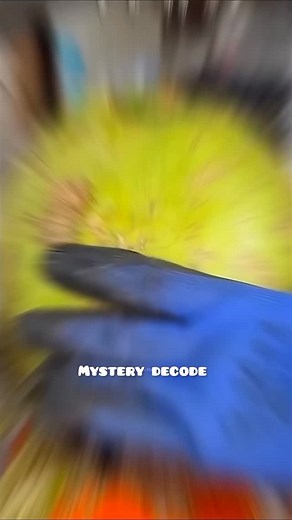 986 reactions · 15 shares | China's Simple Coconut Trick Makes Millions! 勞 #Shorts #Viral | Mysterydecode | Facebook