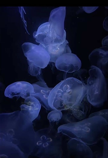 山形の夜の魅力を探求しよう