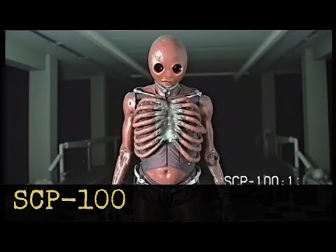 SCP-100 Jamaican Joes Junkyard Jubilee