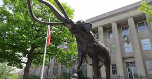 Travels in the Heartland: A baker’s dozen reasons for a Lincoln getaway