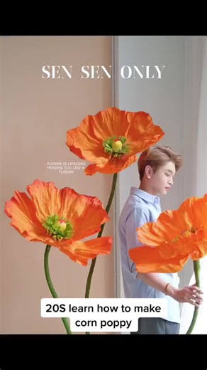 20S learn how to make corn poppy#paperflower#flower#beauty #cornpoppy