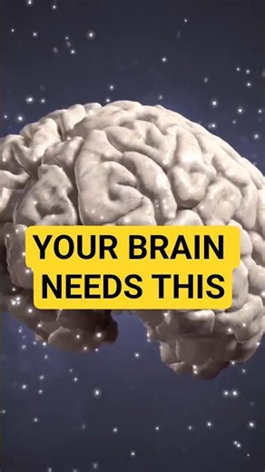 Avocado for Memory? Your Brain Needs This Fat
