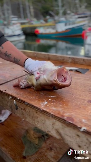 How to Fillet Cod Fish: A Step-by-Step Guide