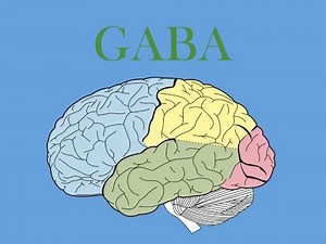 GABA