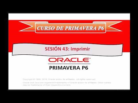 Curso PRIMAVERA P6 Sesión 43 Imprimir