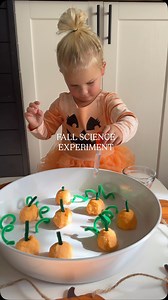 34K views · 1K reactions | FIZZY PUMPKIN PATCH ✨ save to try this fun fizzy science experiment with your kids! 李 mix baking soda + orange food coloring & water to make pumpkins 李 add green pipe cleaners as stems 李 use white vinegar with droppers to make the pumpkins fizzy ✨ follow + comment “FIZZY” for our tray and droppers link . . . . . #scienceexperiments #scienceforkids #fallactivities #pumpkins #toddleractivities | Sarah Elizabeth | Facebook