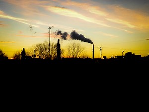 Reliance on coal forces another company into bankruptcy