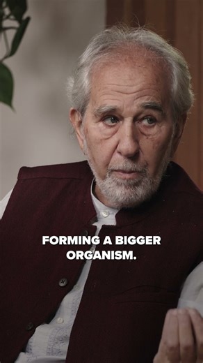 How To ACTUALLY Change The World