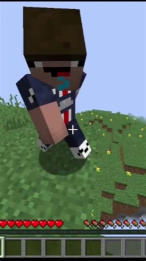 la différence de pc #minecraft#gamingfr#jeuxvideo#minecrafteur#minecraftfr#gamingcommunity