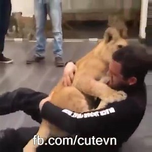 284K views · 3.2K reactions | Un cucciolo è sempre un cucciolo! #ascoltalapiuforte #104fmRoma #radioCrikCrok | Radio Roma | Facebook