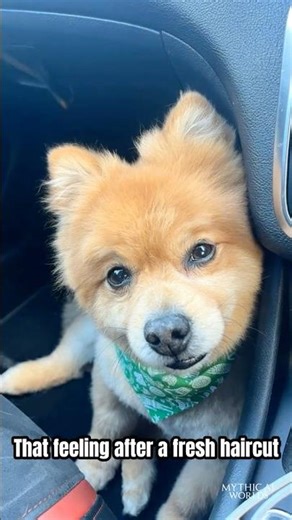 You Won't Believe This Dog's Makeover! 😌🐶 | Mythic AI Worlds #aianimation #dog #pets