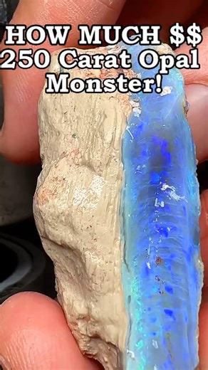 What's this 250 Carat Monster Opal Worth?