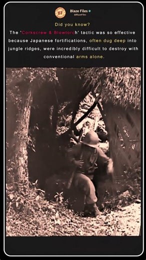 "Corkscrew & Blowtorch": WWII's Brutal Jungle Tactic #shorts