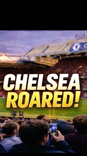 Chelsea Home Crowd. One Chant. One Frequency. #Chelsea #ChelseaFC #FootballAtmosphere #football