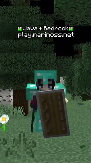 Lagsız Minecraft Sunucusu...