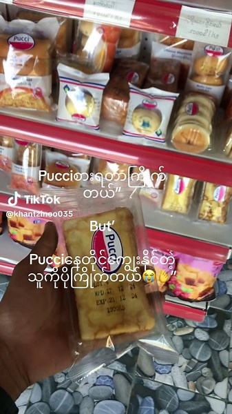 Discover Delicious Pucci Treats and Edits