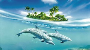 Dolphins Under Island Live Wallpaper - WallpaperWaifu
