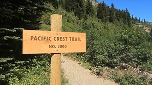 14K views · 324 reactions | 3 Disturbing TRUE Deep Woods Wilderness Horror Stories #mrnightmare #mrnightscares #horror #scares | Mr. Nightmare Tv Series | Facebook