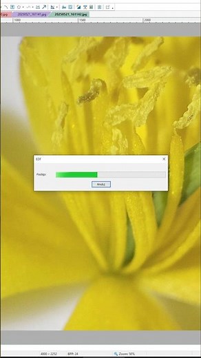 A Free Alternative For Focus Stacking