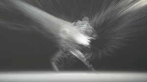 Jesse Woolston - Weave (Motion Capture by Tobias Gremmler)