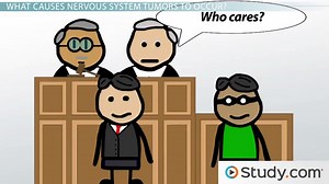 Nervous System Tumors: Gliomas, Meningiomas, and More