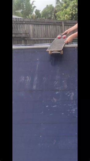 Santa's cute elves 🎄 (@santas.cute.elves)’s videos with admire the perc - !