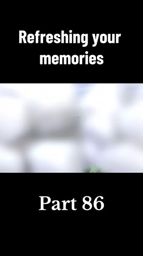 Exploring the Forest with Rupert Bear | Hide and Seek Adventure