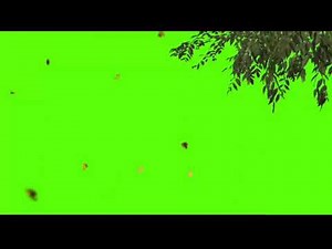 tree falling with plants green screen effect (chroma key)video.720p