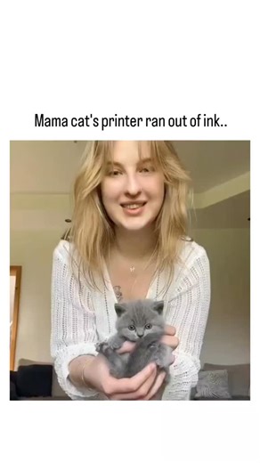 real_vibes | The video humorously depicts a litter of fluffy gray kittens birthed by a tabby mother, with the final white kitten likened to a printing... | Instagram