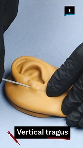 2.4K views | Dare to Try the Vertical Tragus Piercing?  | Transtuned | Facebook