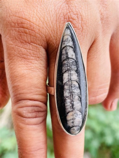 Orthoceras Fossil 925 Sterling Silver Ring, Long Pear Cabochon - Etsy