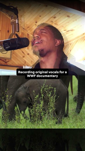 I Sang for a WWF Gorilla Documentary
